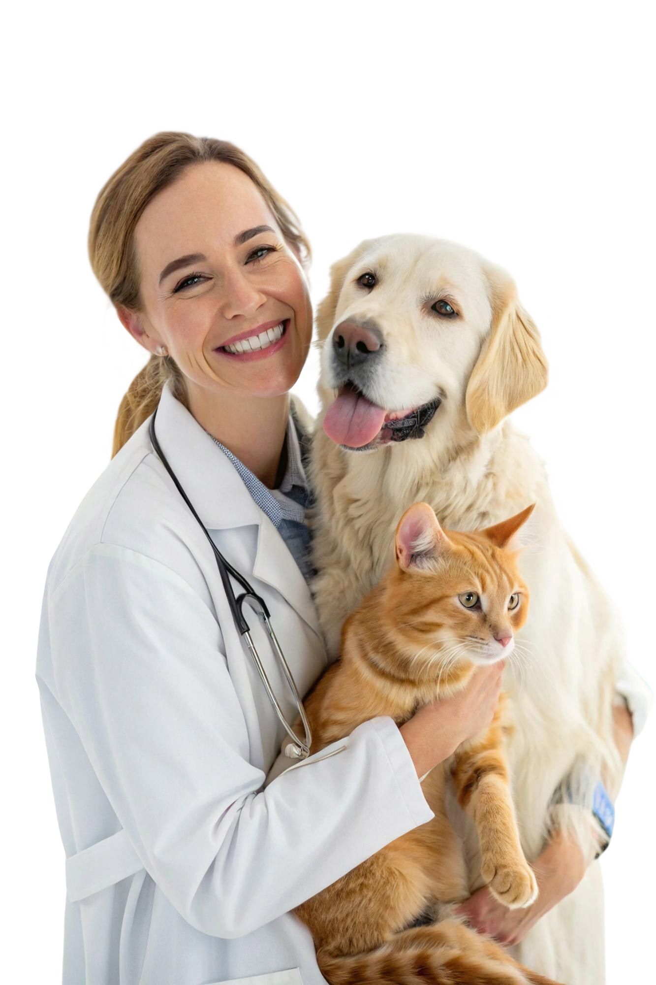 friendly-veterinarian-bez-tla friendly-veterinarian-bez-tla