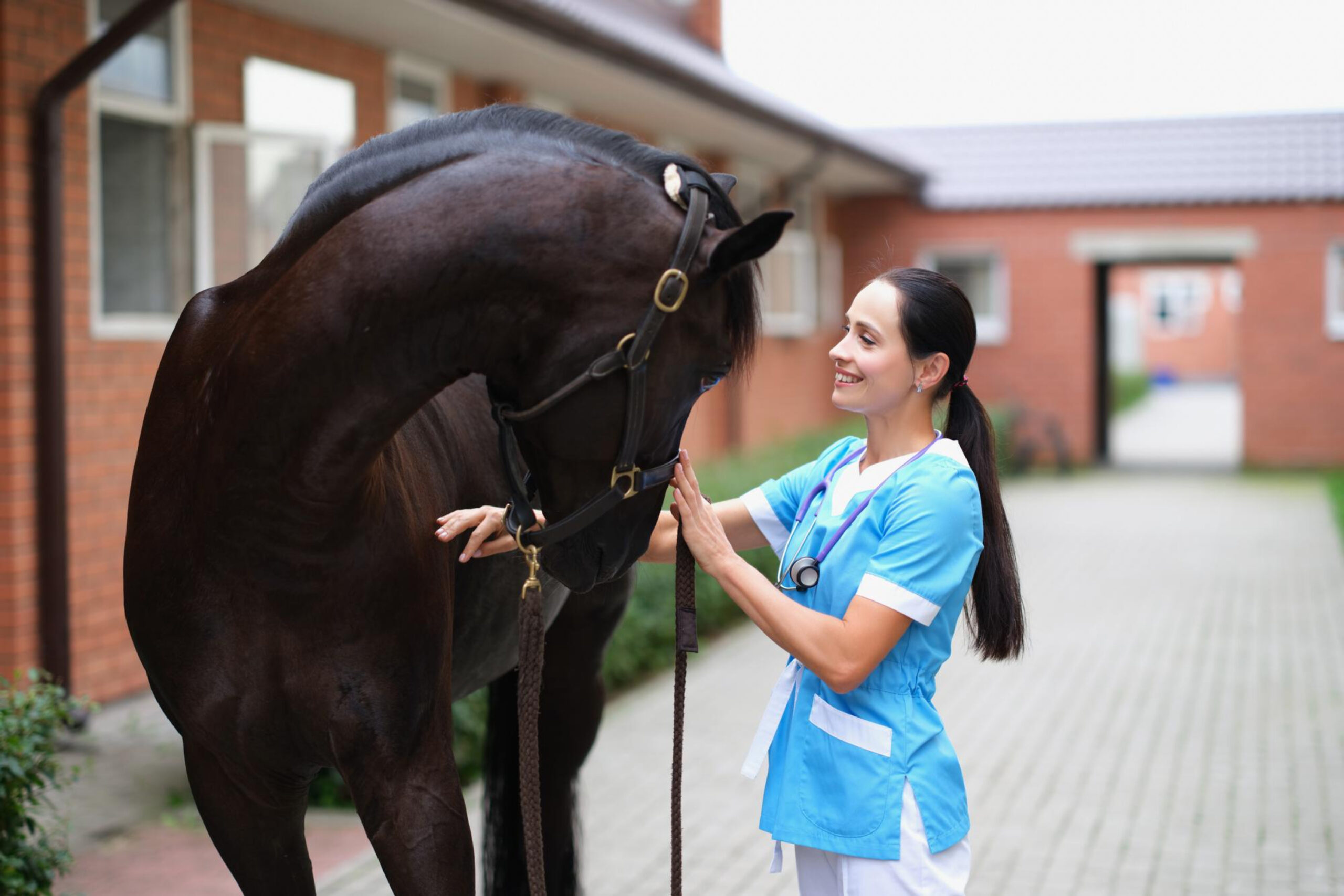 New in 2026: Expanded allergy diagnostics for horses – IgE panels